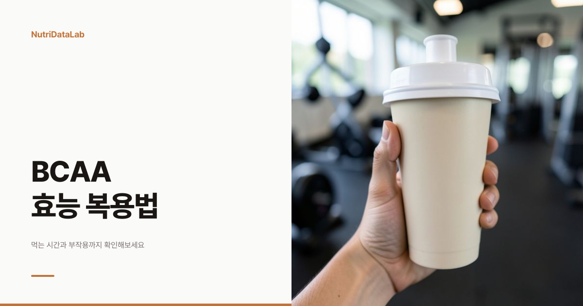 BCAA 효능 복용법 먹는 시간 부작용