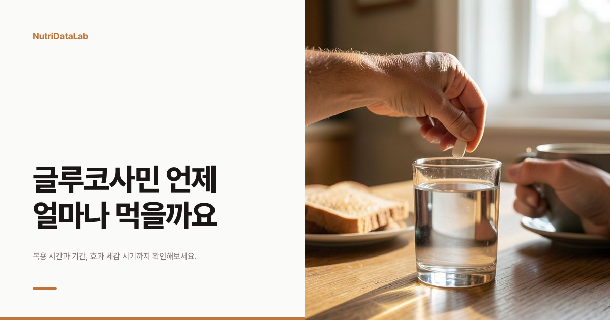 글루코사민 복용법과 효과 나타나는 시기