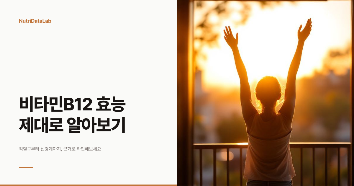 비타민B12 효능 6가지와 오해 바로잡기