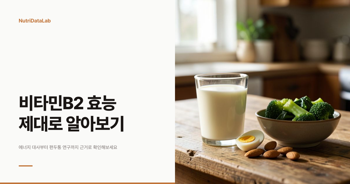비타민B2 효능 4가지와 리보플라빈 편두통 연구
