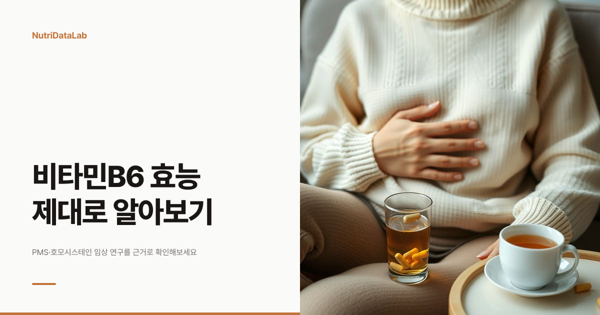 비타민B6 효능 PMS 호모시스테인 입덧 근거