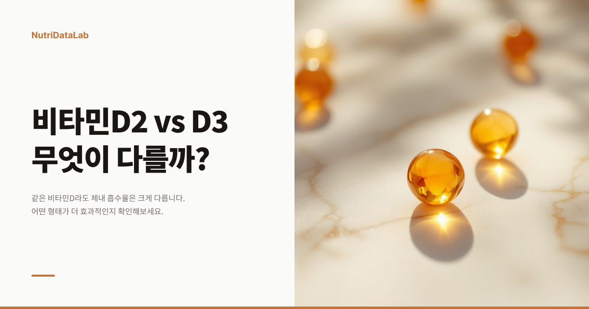 비타민D2 vs D3 무엇이 다르고, 무엇을 선택해야 할까