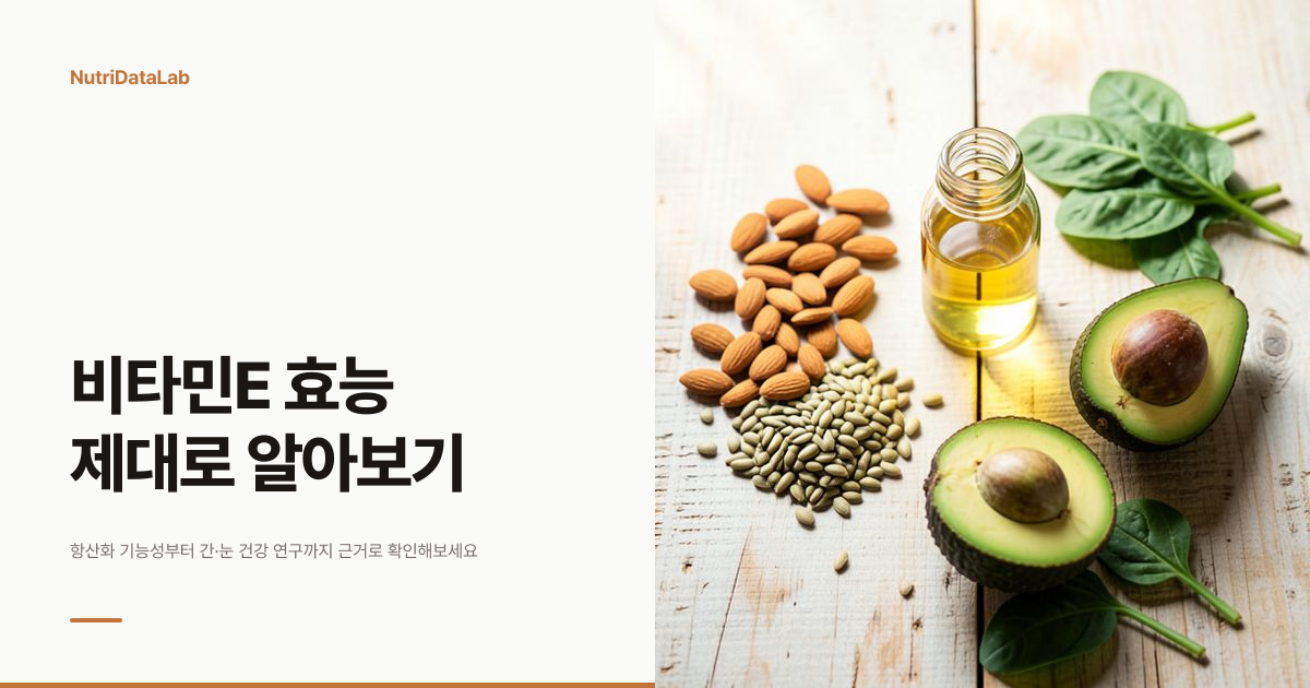 비타민E 효능과 하루 권장량, 자연형 합성형 차이