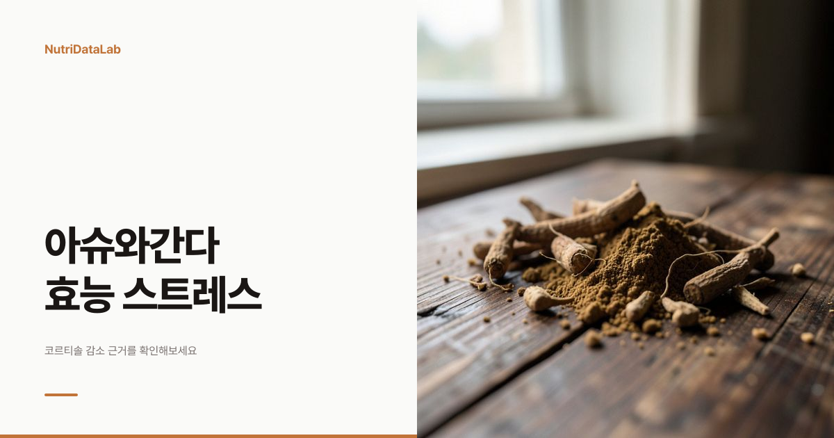 아슈와간다 효능 코르티솔 스트레스 완화 임상 근거