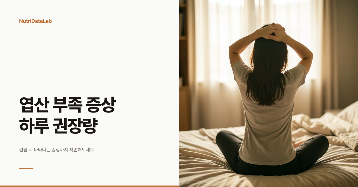 엽산 부족 증상과 하루 권장량 기준