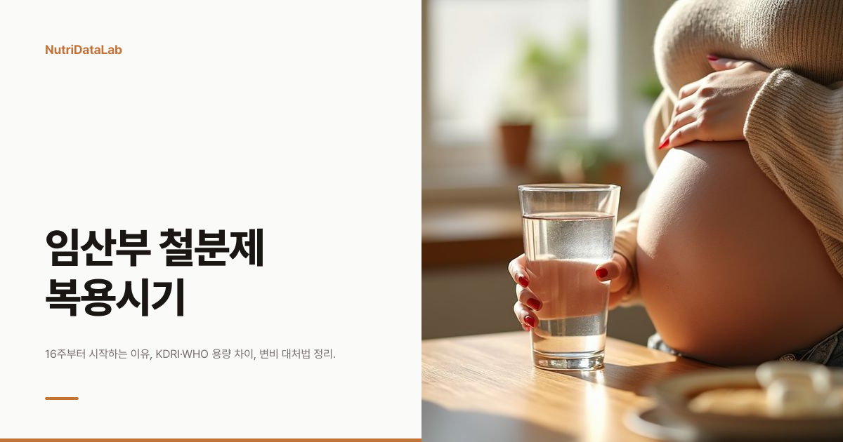 임산부 철분제 복용시기 16주와 용량, 변비 대처법