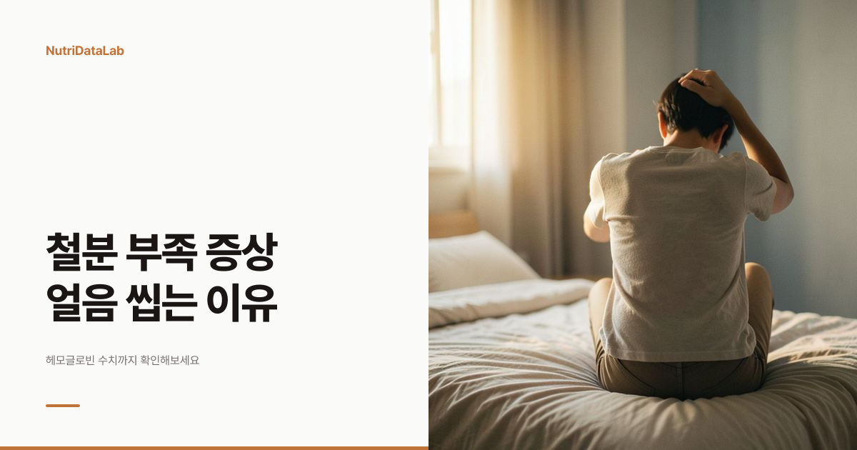 철분 부족 증상 원인과 헤모글로빈 수치 기준