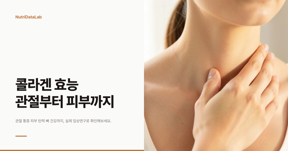콜라겐 효능 피부 탄력 관절 통증 뼈 건강 임상연구