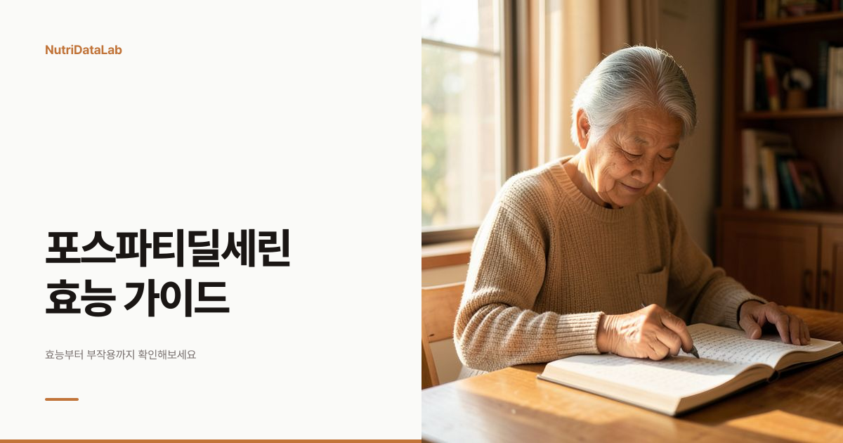 포스파티딜세린 효능 인지기능 개선 근거와 수험생 섭취 주의점