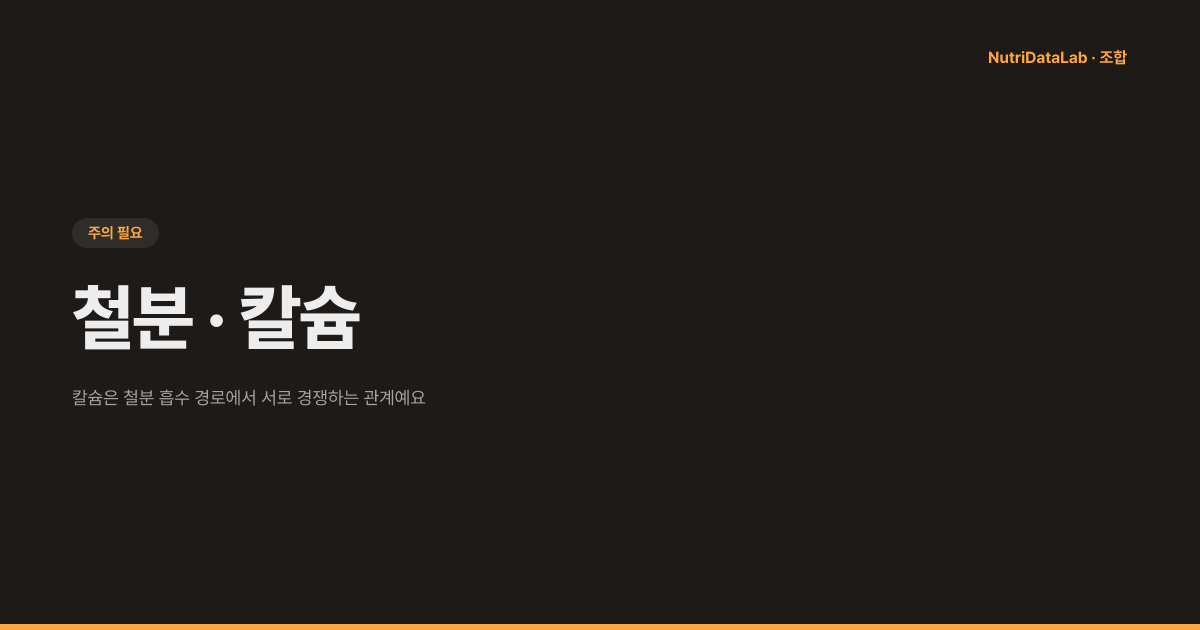 철분 칼슘 같이 먹으면 흡수 방해와 복용 간격